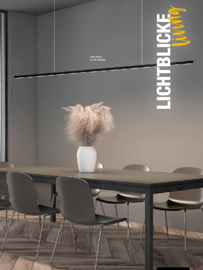 Lichtblicke bei Steuer- und Regeltechnik GmbH Wettin in Wettin-Löbejün/ OT Wettin