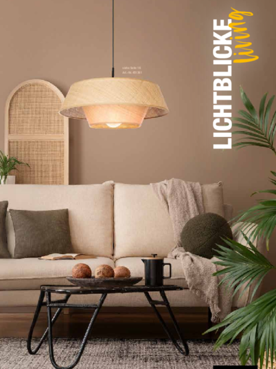 Lichtblicke bei Steuer- und Regeltechnik GmbH Wettin in Wettin-Löbejün/ OT Wettin